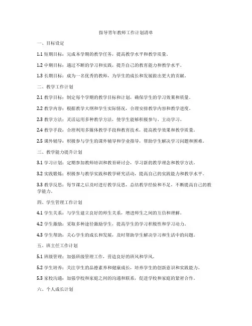 指导青年教师工作计划清单