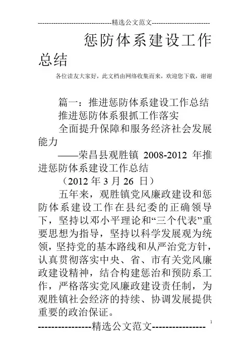 惩防体系建设工作总结