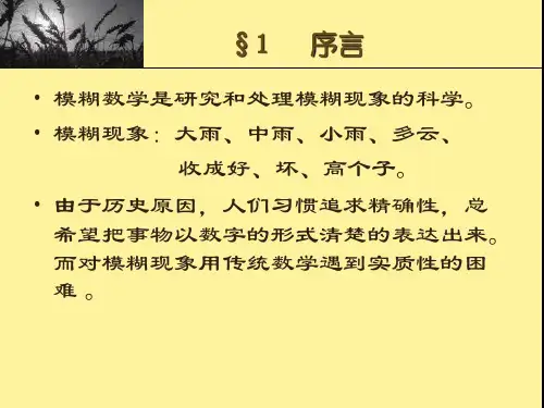 第一章模糊集合的一般概念