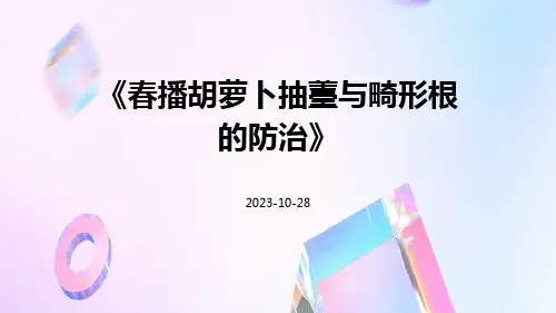 春播胡萝卜抽薹与畸形根的防治