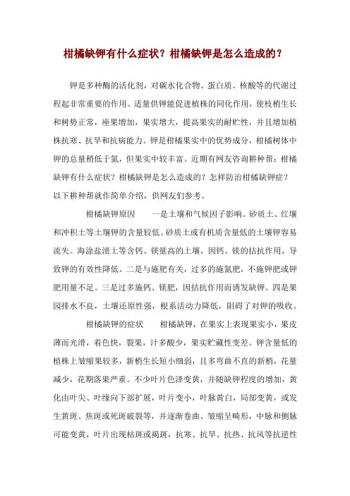 柑橘缺钾有什么症状？柑橘缺钾是怎么造成的？ 
