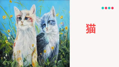 第16课《猫》七年级语文上册(部编版)