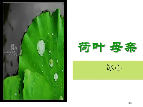荷叶母亲教学省公开课一等奖全国示范课微课金奖PPT课件