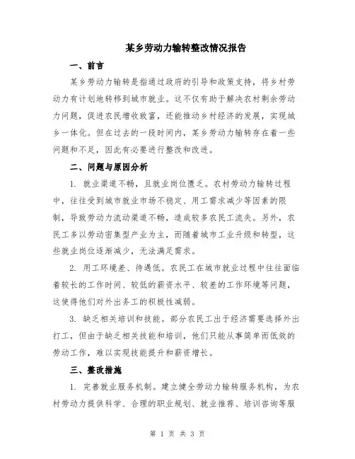 某乡劳动力输转整改情况报告