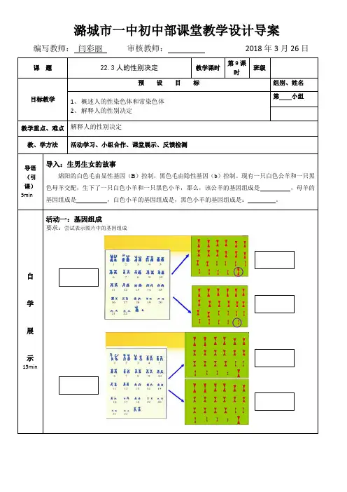 苏教版-生物-八年级下册-苏教版八年级下册生物学案22.3人的性别决定