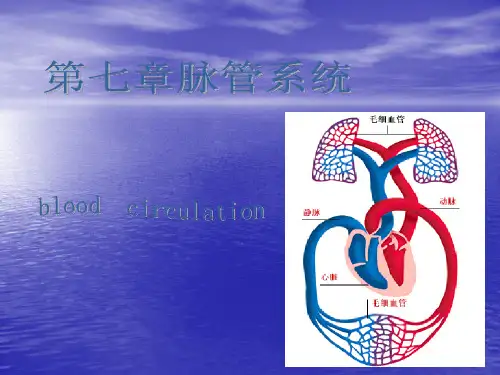 解剖生理学脉管系统