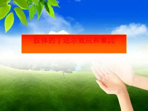 一种重要的混合物——胶体PPT课件5
