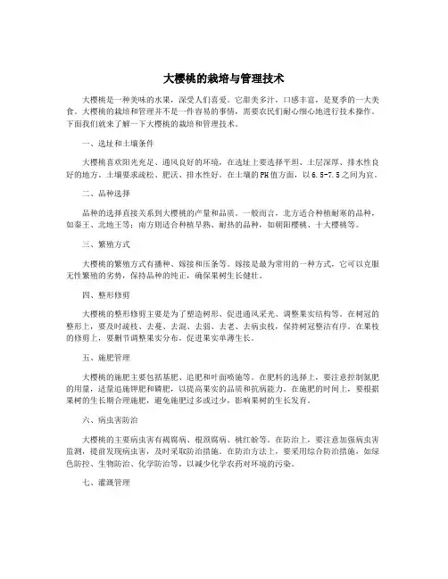 大樱桃的栽培与管理技术