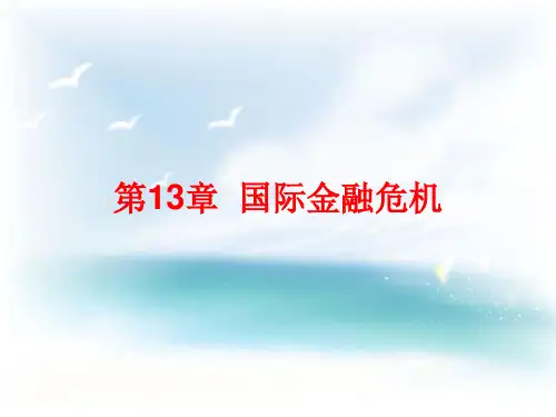 第十三章  国际金融危机  《国际金融学》PPT课件