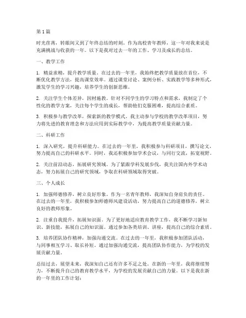 高校青年教师_年度总结(3篇)
