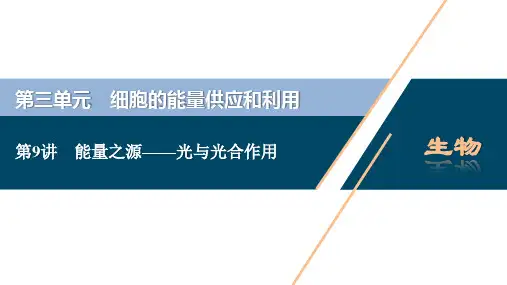 4 第9讲 能量之源——光与光合作用