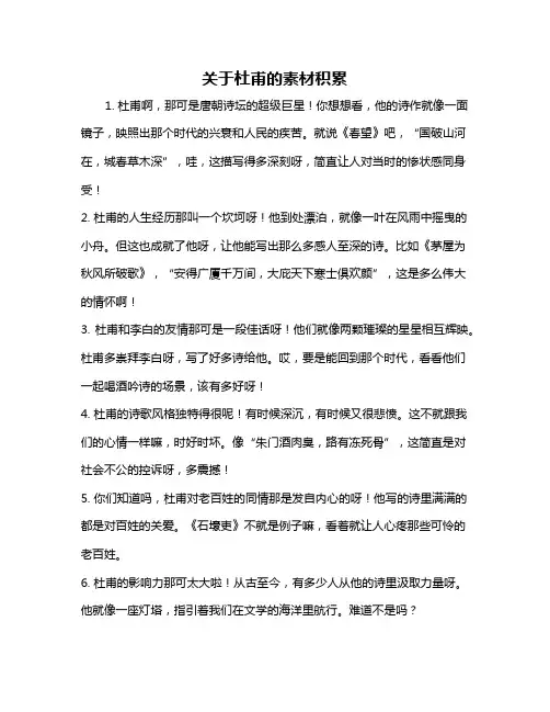关于杜甫的素材积累