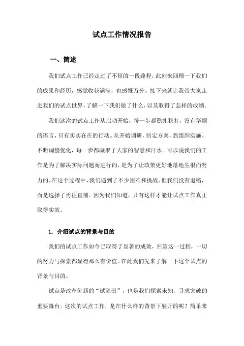 试点工作情况报告