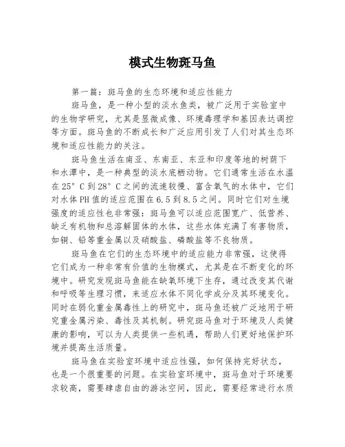 模式生物斑马鱼3篇