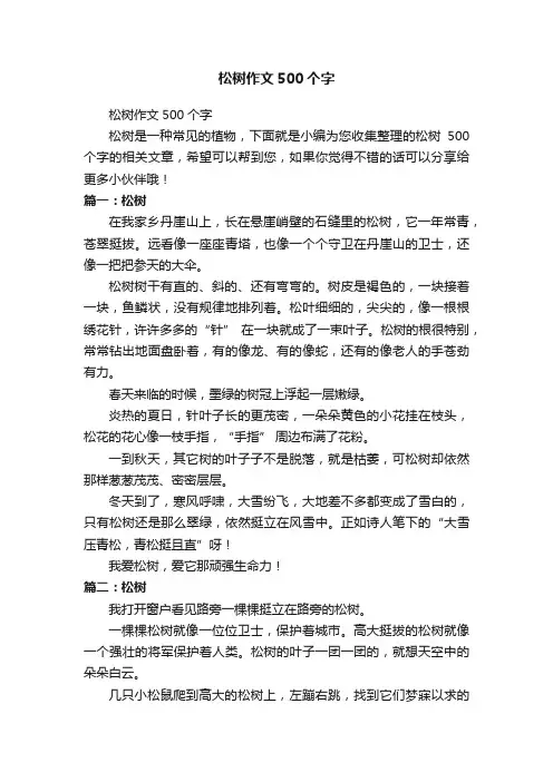 松树作文500个字