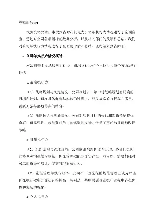 电力公司年执行力情况自查报告