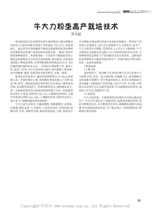 牛大力粉垄高产栽培技术    