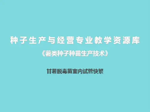 甘薯脱毒苗室内试管快繁(共10张PPT)