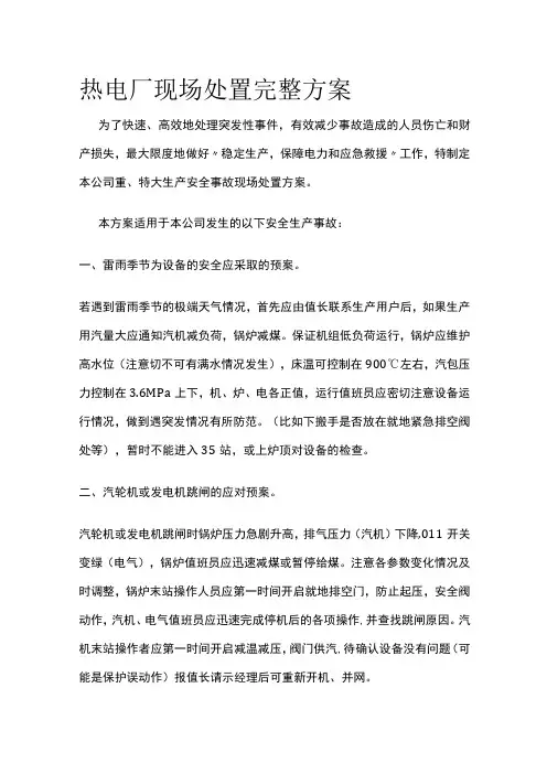 热电厂现场处置完整方案