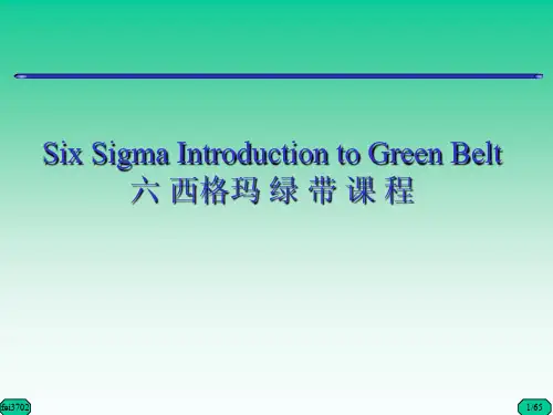 6西格玛绿带教程(PDF65页)