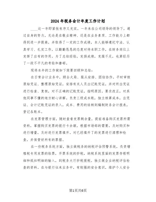2024年税务会计年度工作计划（三篇）