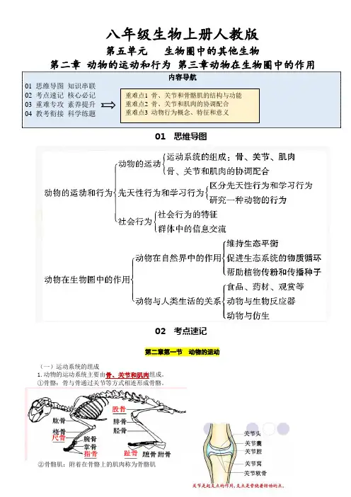 八年级生物上册人教版第五单元第二和三章 动物的运动和行为+动物在生物圈中的作用【速记清单】(解析版)