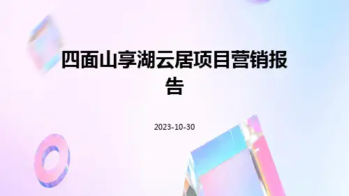 四面山享湖云居项目营销报告