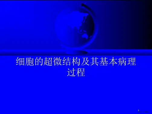 细胞的超微结构及其基本病理过程