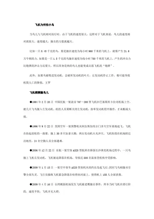 飞机为何怕小鸟