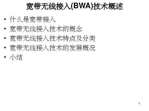 宽带无线接入技术概述