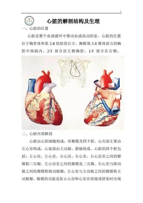 心脏的解剖结构及其生理(含彩图)