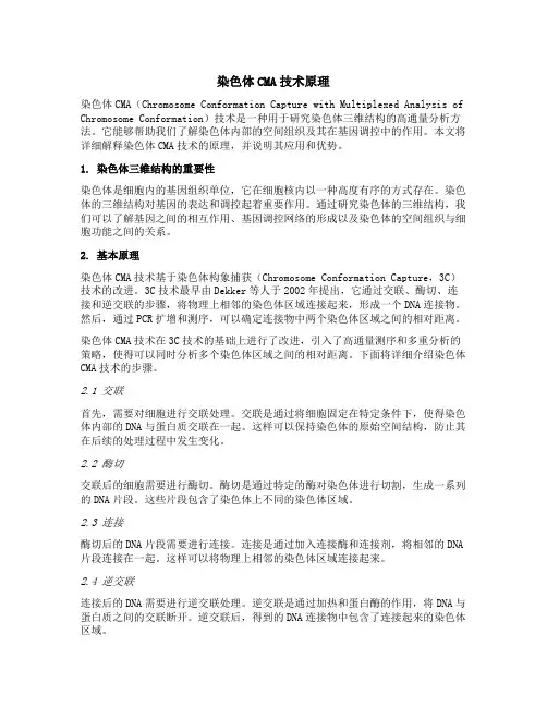 染色体cma技术原理