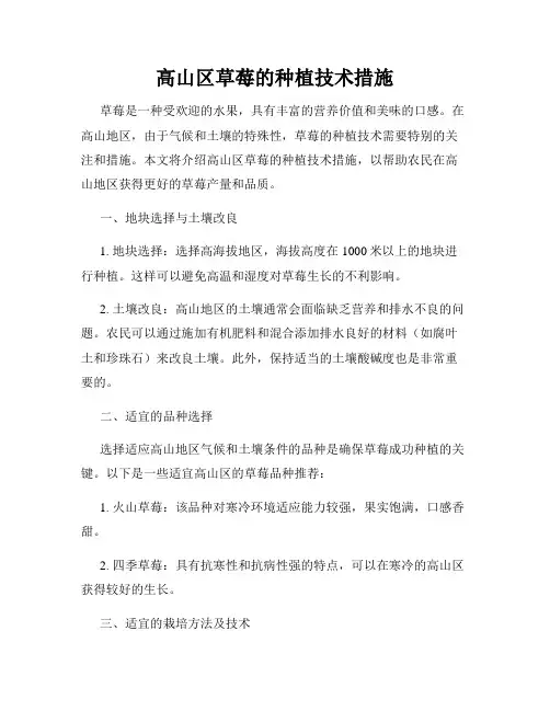 高山区草莓的种植技术措施