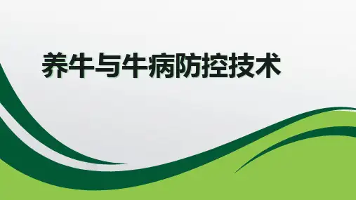 养牛与牛病防控技术教学课件：38肉牛的生产周期