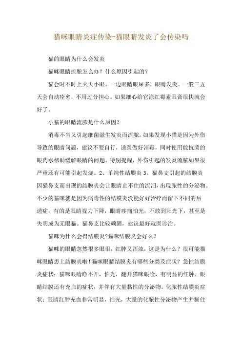 猫咪眼睛炎症传染-猫眼睛发炎了会传染吗