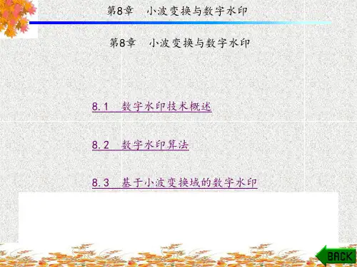 基于MATLAB的小波分析应用(第二版)(周伟)5-13章 (4)