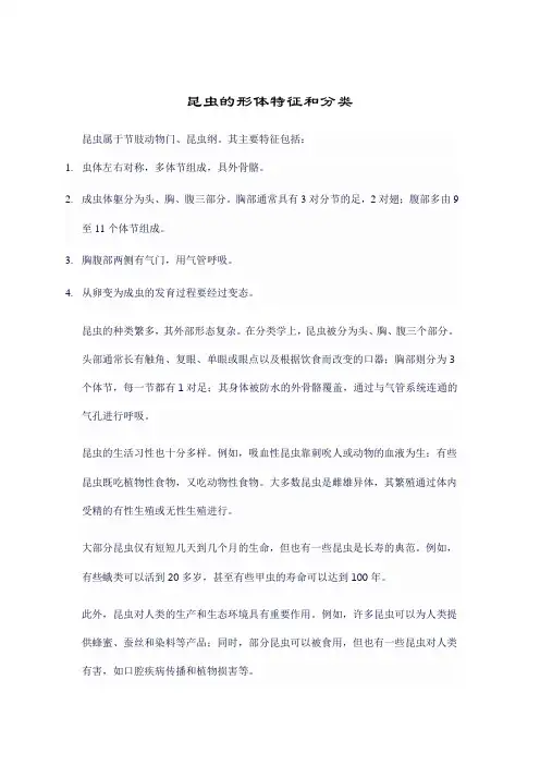 昆虫的形体特征和分类