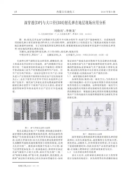 深穿透(DP)与大口径(BH)射孔弹在地层现场应用分析