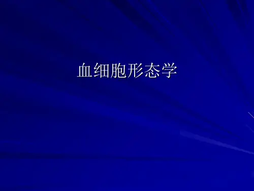 血细胞形态学