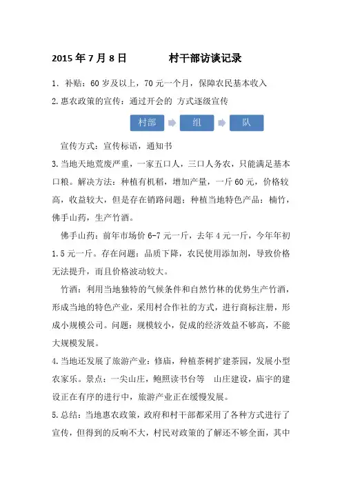 村干部访谈记录