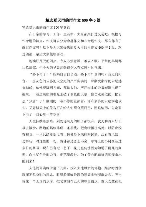 夏天雨的雨作文600字5篇