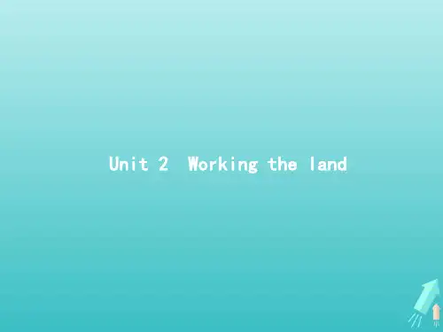 高考英语一轮复习UNIT2WORKINGTHELAND课件新人教版