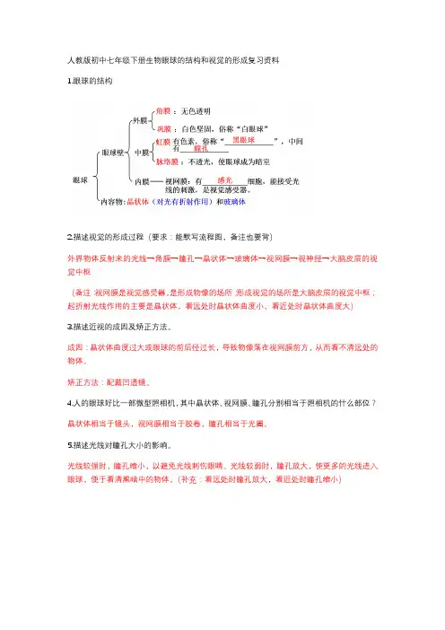 人教版初中七年级下册生物眼球的结构和视觉的形成复习资料