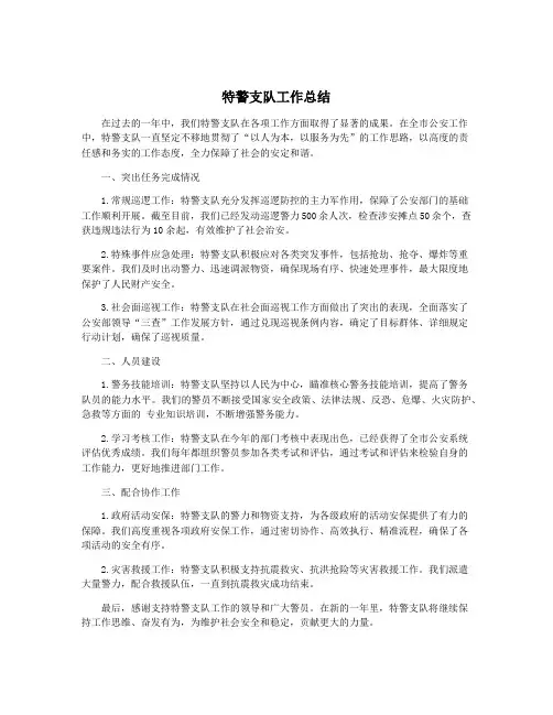 特警支队工作总结