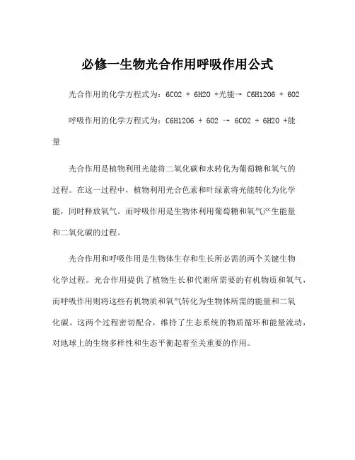 必修一生物光合作用呼吸作用公式