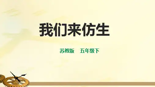 苏教版科学五年级下册8我们来仿生 课件