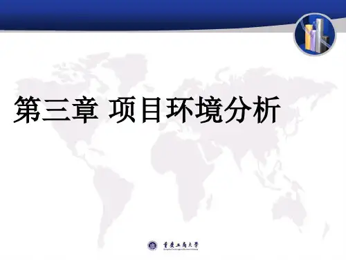 项目环境分析