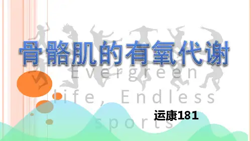 骨骼肌的有氧代谢