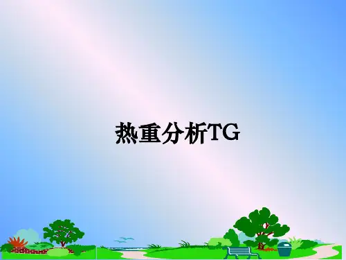 热重分析TG