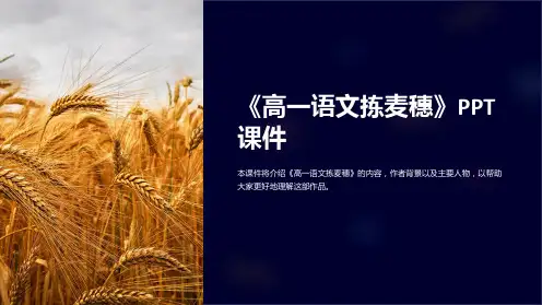《高一语文拣麦穗》课件